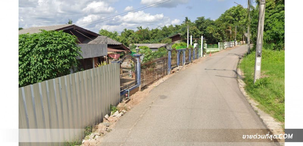 ขาย ที่ดิน ขายที่ดิน ต.ริมใต้ อ.แม่ริม เชียงใหม่ เนื้อที่ 102 ตร.ว. รูปที่ 5