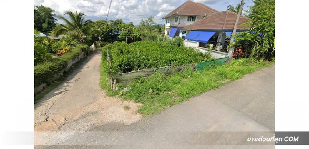 ขาย ที่ดิน ขายที่ดิน ต.ริมใต้ อ.แม่ริม จ.เชียงใหม่ เนื้อที่ 123 ตร.ว. 1 งาน 23 ตร.วา รูปที่ 5