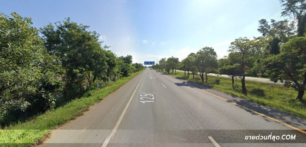 ขาย ที่ดิน ขายที่ดิน ติดถนนหมายเลข 125 อ.เมือง จ.สุโขทัย เนื้อที่ 6 ไร่ 68 ตร.ว. รูปที่ 5