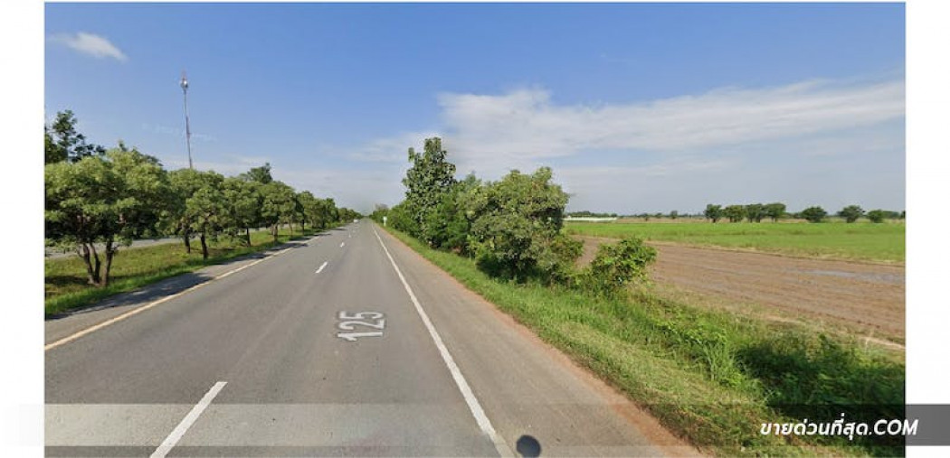 ขาย ที่ดิน ขายที่ดิน ติดถนนหมายเลข 125 อ.เมือง จ.สุโขทัย เนื้อที่ 6 ไร่ 68 ตร.ว. รูปที่ 6