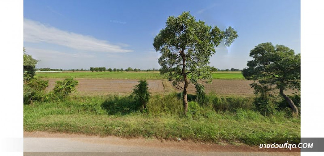 ขาย ที่ดิน ขายที่ดิน ติดถนนหมายเลข 125 อ.เมือง จ.สุโขทัย เนื้อที่ 6 ไร่ 68 ตร.ว. รูปที่ 3
