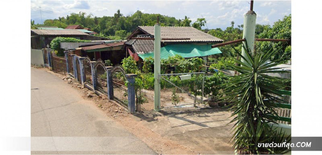 ขาย ที่ดิน ขายที่ดิน ต.ริมใต้ อ.แม่ริม เชียงใหม่ เนื้อที่ 102 ตร.ว. รูปที่ 4