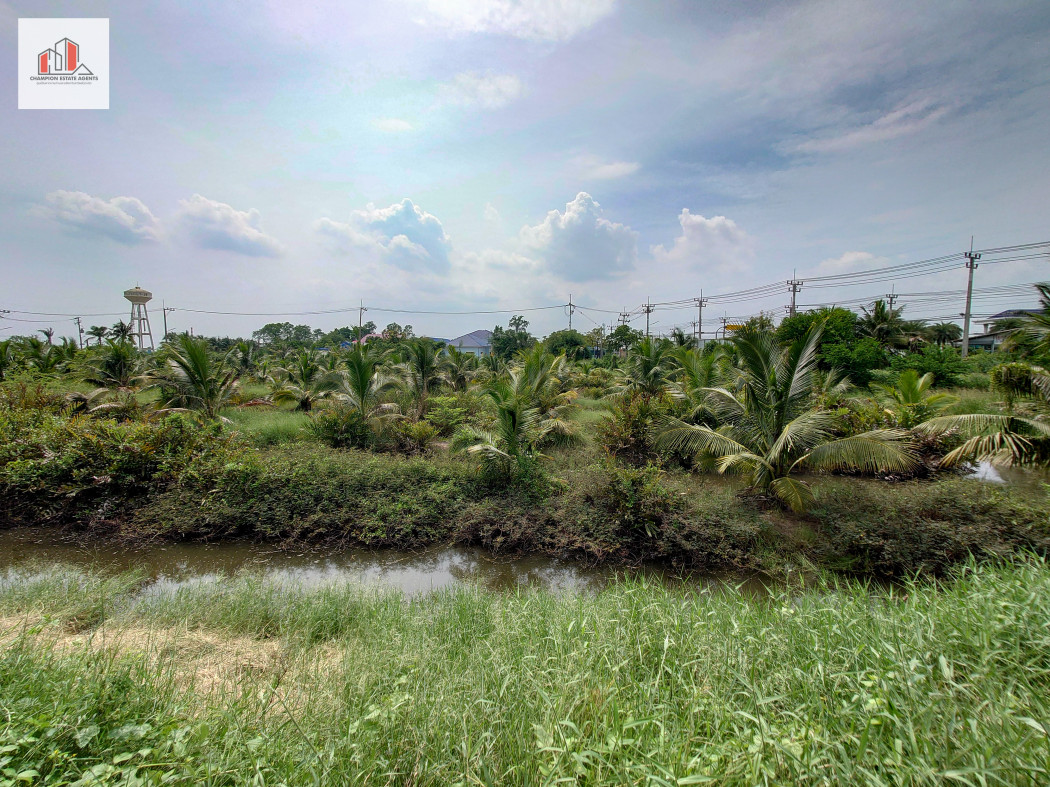 ขาย ที่ดิน สวนมะพร้าว-ติดถนนเจษฎาวิถี โคกขาม สมุทรสาคร 7 ไร่ 3 งาน 75 ตร.วา รูปที่ 1