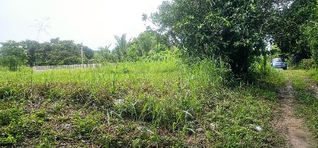 ขาย ที่ดิน สวนผึ้ง 2 ไร่ 1 งาน 16 ตร.วา ติดถนน3ด้าน ตรงข้ามโรงพยาบาลสวนผึ้ง ราชบุรี รูปที่ 10