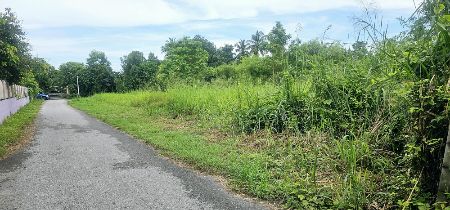 ขาย ที่ดิน สวนผึ้ง 2 ไร่ 1 งาน 16 ตร.วา ติดถนน3ด้าน ตรงข้ามโรงพยาบาลสวนผึ้ง ราชบุรี รูปที่ 9