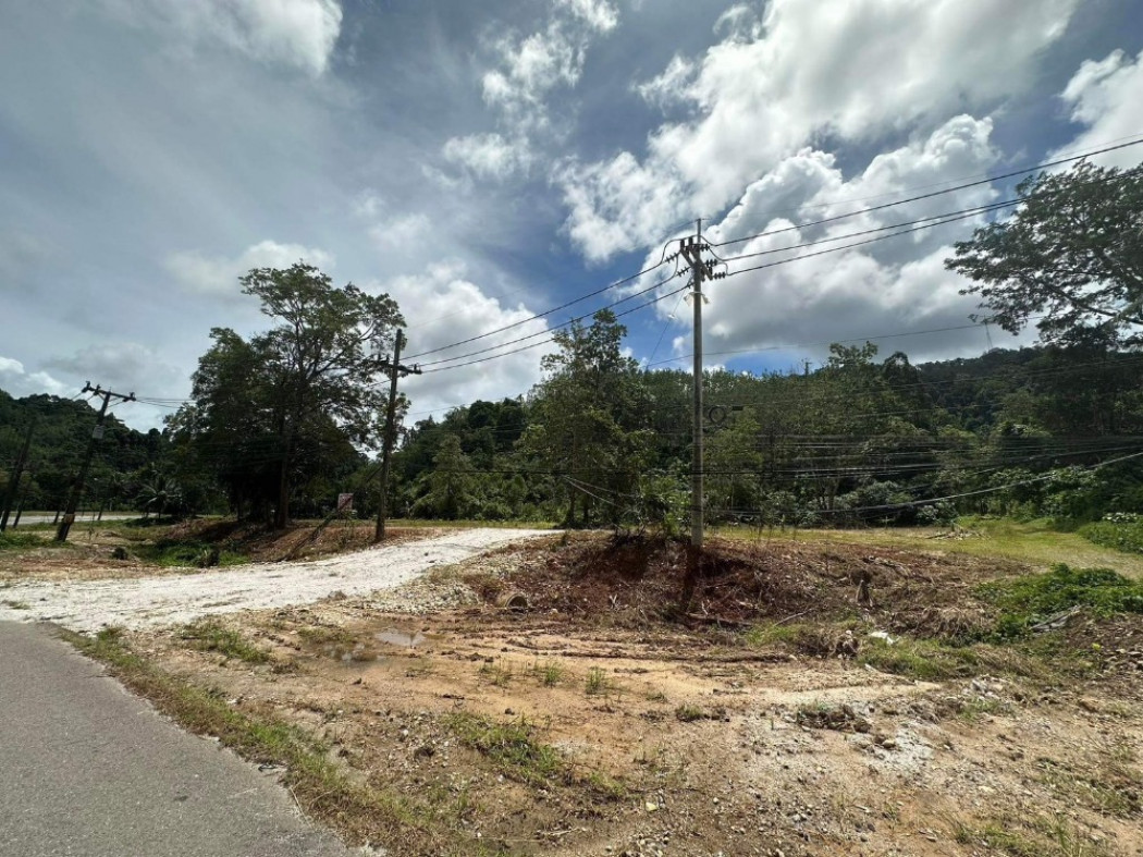 ขาย ที่ดินถมแล้วติดถนน ทางเข้าเมืองระนอง ID-13017 รูปที่ 6