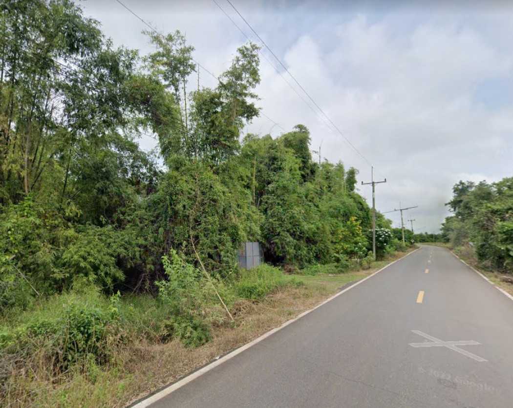 ขายที่ดินบางเตย 2 ไร่ ติดแม่น้ำปราจีน(แม่น้ำบางปะกง) 2 ด้าน ติดถนนลาดยาง ใกล้วัดบางเตย 800 เมตร อ.บ้านสร้าง จ.ปราจีนบุรี รูปที่ 9