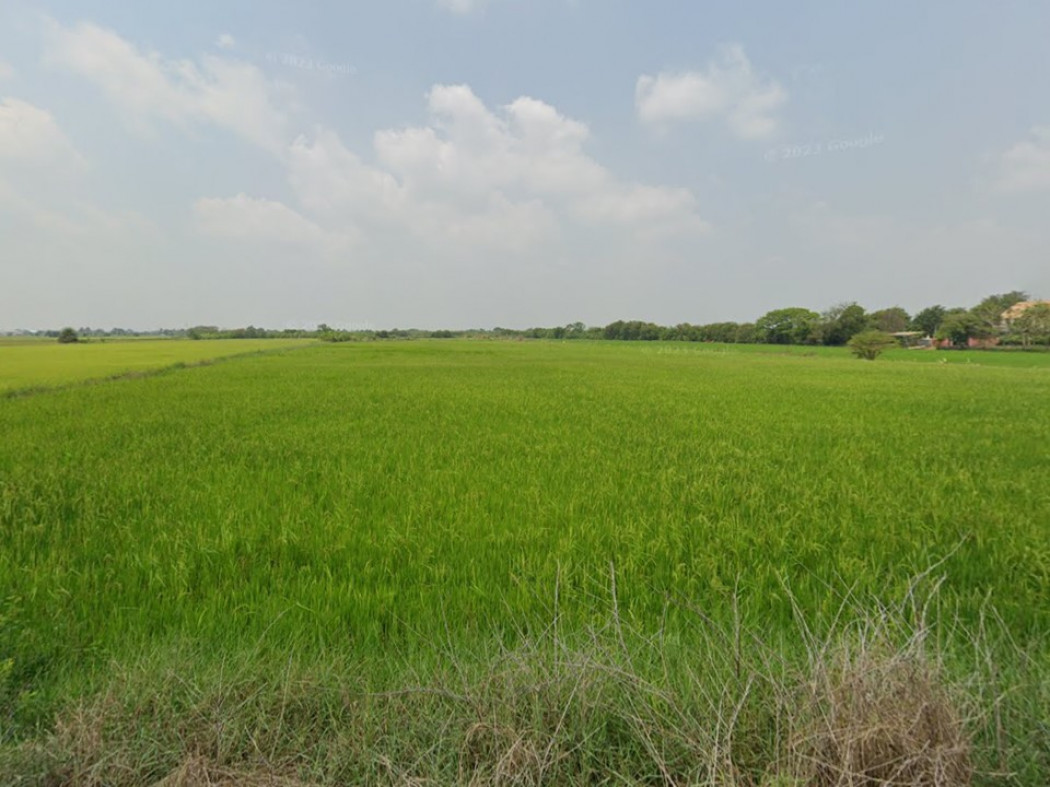 ขาย ที่ดิน ที่ดินเปล่าพร้อมขาย ที่ดินเปล่าต.หนองเพรางาย 9 ไร่ 2 งาน 2.8 ตร.วา รูปที่ 4