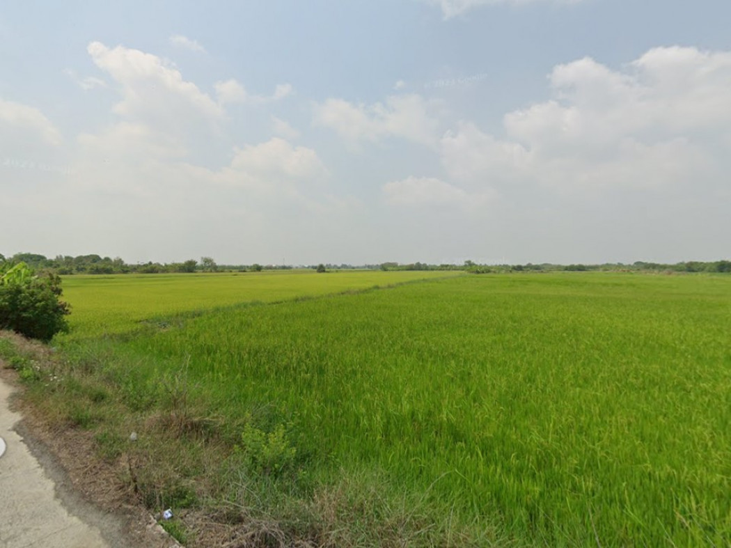 ขาย ที่ดิน ที่ดินเปล่าพร้อมขาย ที่ดินเปล่าต.หนองเพรางาย 9 ไร่ 2 งาน 2.8 ตร.วา รูปที่ 6
