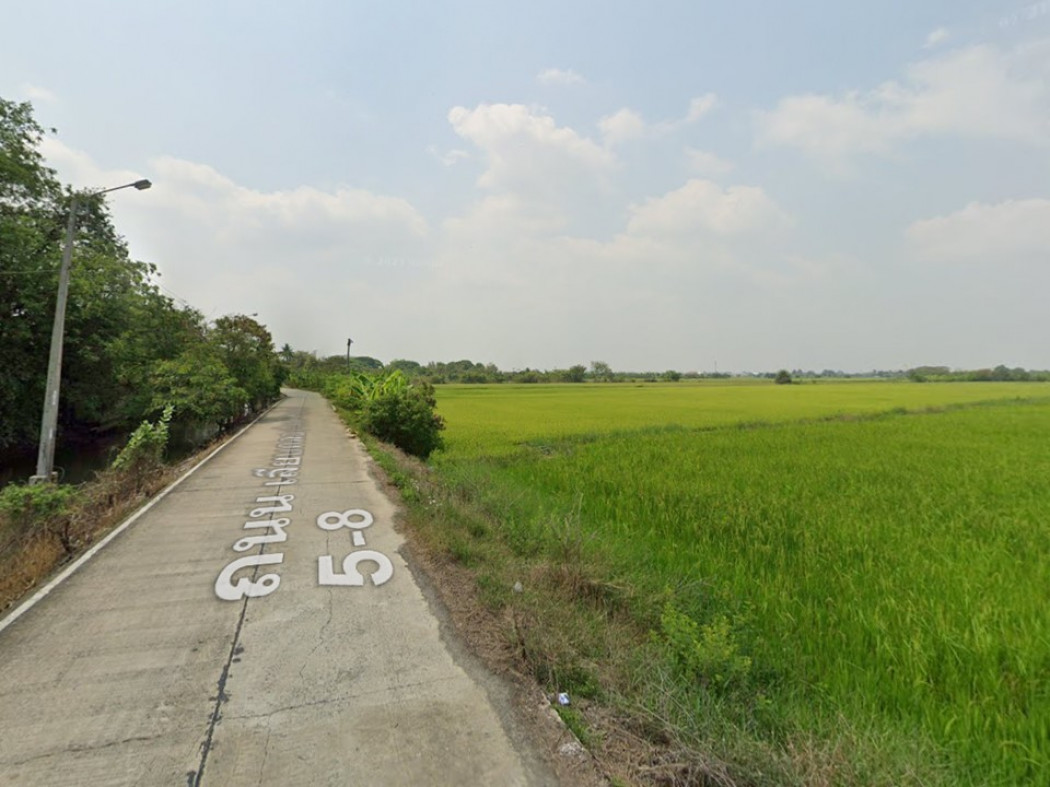 ขาย ที่ดิน ที่ดินเปล่าพร้อมขาย ที่ดินเปล่าต.หนองเพรางาย 9 ไร่ 2 งาน 2.8 ตร.วา รูปที่ 5