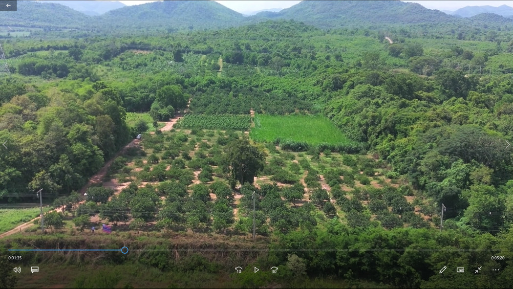ขาย ที่ดิน ที่ดินทรงสวยแปลงสี่เหลี่ยมผืนผ้าหน้ากว้าง 75 ม.ลึก360 ม. 21 ไร่ 1 งาน 75 ตร.วา รูปที่ 4