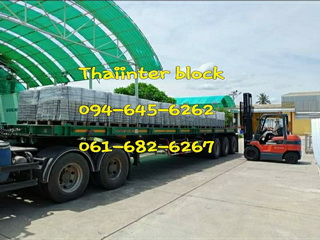 บล็อกตัวหนอน บล็อกปูสนามหญ้า บล็อกทางเดินสวน 094-645-6262 รูปที่ 1