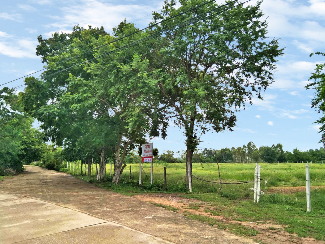 ขาย ที่ดิน ที่สวย ใกล้หาดเจ้าสำราญ 6 ไร่ 3 งาน 83 ตร.วา รูปที่ 2