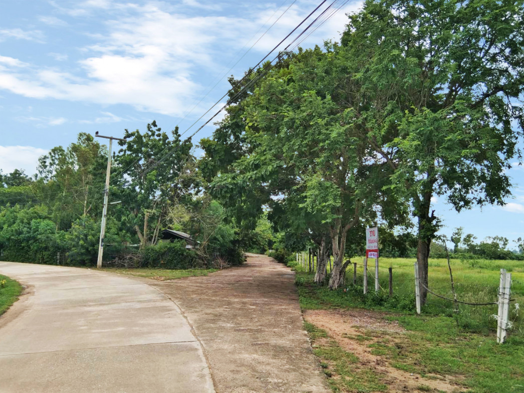 ขาย ที่ดิน ที่สวย ใกล้หาดเจ้าสำราญ 6 ไร่ 3 งาน 83 ตร.วา รูปที่ 3