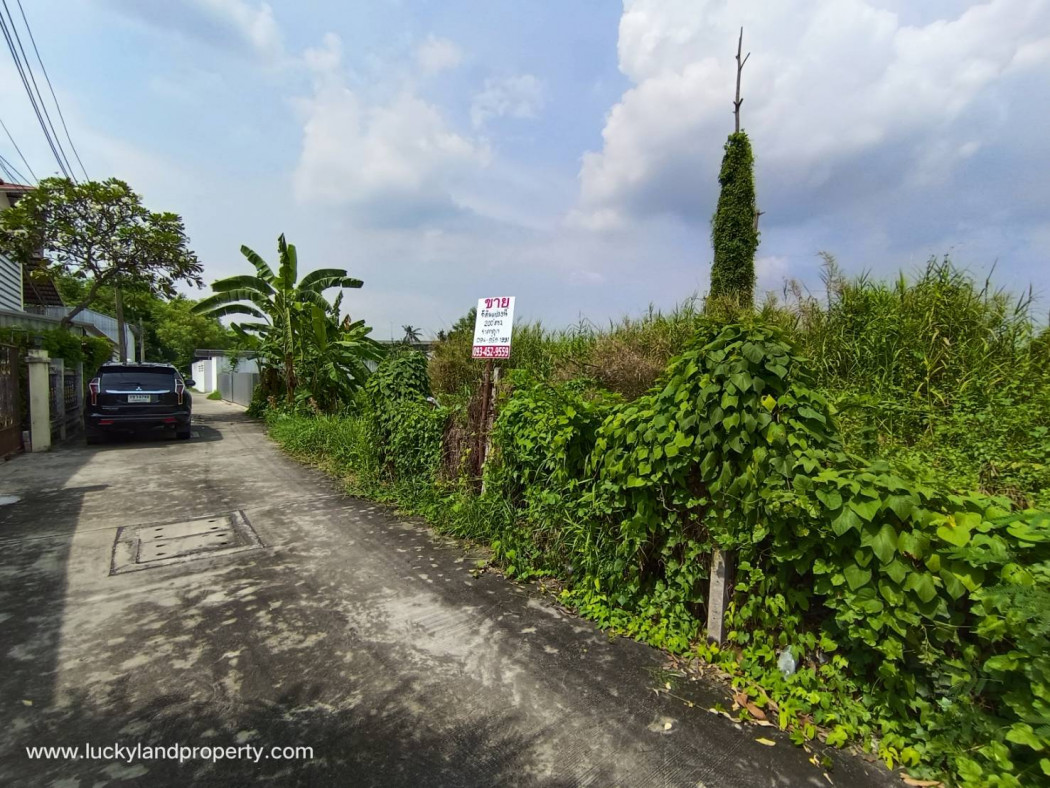 ขาย ที่ดิน ตลิ่งชัน ใกล้ ถ.บรมราชชนนี - 200 ตร.วา ฉิมพลี ตลิ่งชัน กรุงเทพฯ. รูปที่ 2