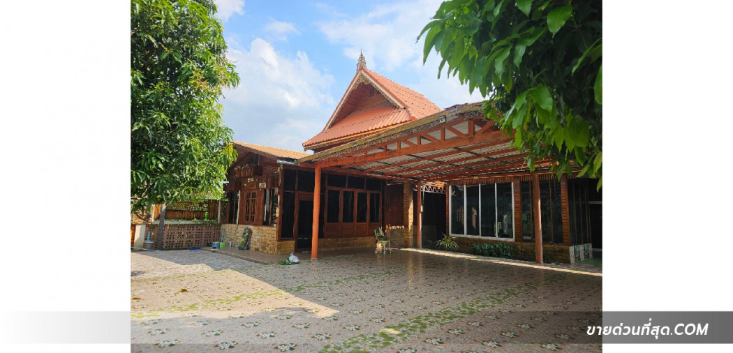 ขายบ้านเรือนไทย 2 ชั้น ใกล้วัดธรรมกาย ซ.คลองสาม 8-15 เนื้อที่ 208 ตร.ว. 2 งาน 8 ตร.วา รูปที่ 3