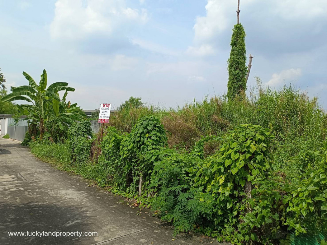 ขาย ที่ดิน ตลิ่งชัน ใกล้ ถ.บรมราชชนนี - 200 ตร.วา ฉิมพลี ตลิ่งชัน กรุงเทพฯ. รูปที่ 3