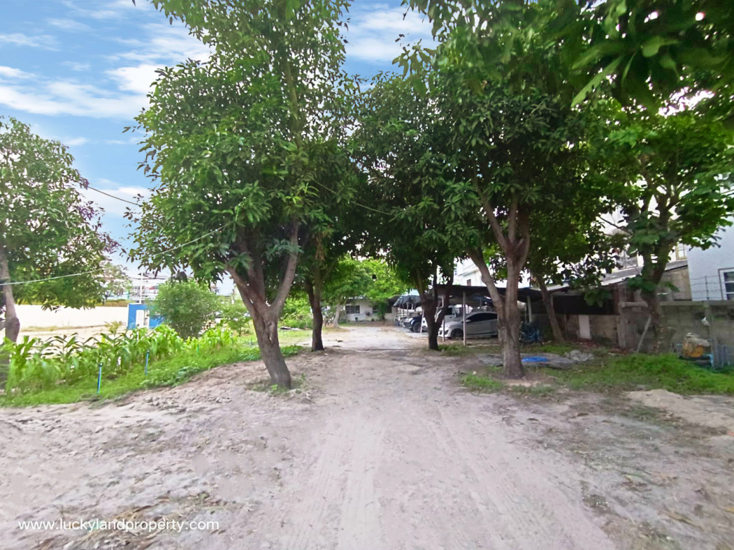 ขาย ที่ดิน ถมแล้ว ทำเลดี เนื้อที่ 2.5 ไร่ ติดถนน2ด้าน ชะอำ เพชรบุรี รูปที่ 5
