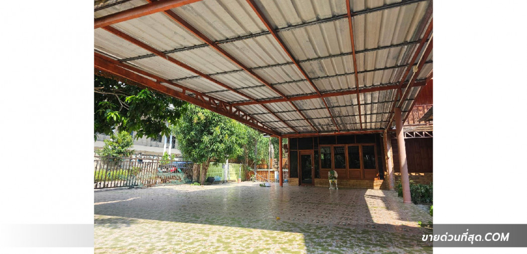 ขายบ้านเรือนไทย 2 ชั้น ใกล้วัดธรรมกาย ซ.คลองสาม 8-15 เนื้อที่ 208 ตร.ว. 2 งาน 8 ตร.วา รูปที่ 6
