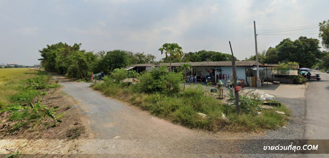 ให้เช่าที่ดิน ติดถนนสายไหม ซอยสายไหม 67 พื้นที่ 37 ไร่ 1 งาน 61 ตร.ว. รูปที่ 4