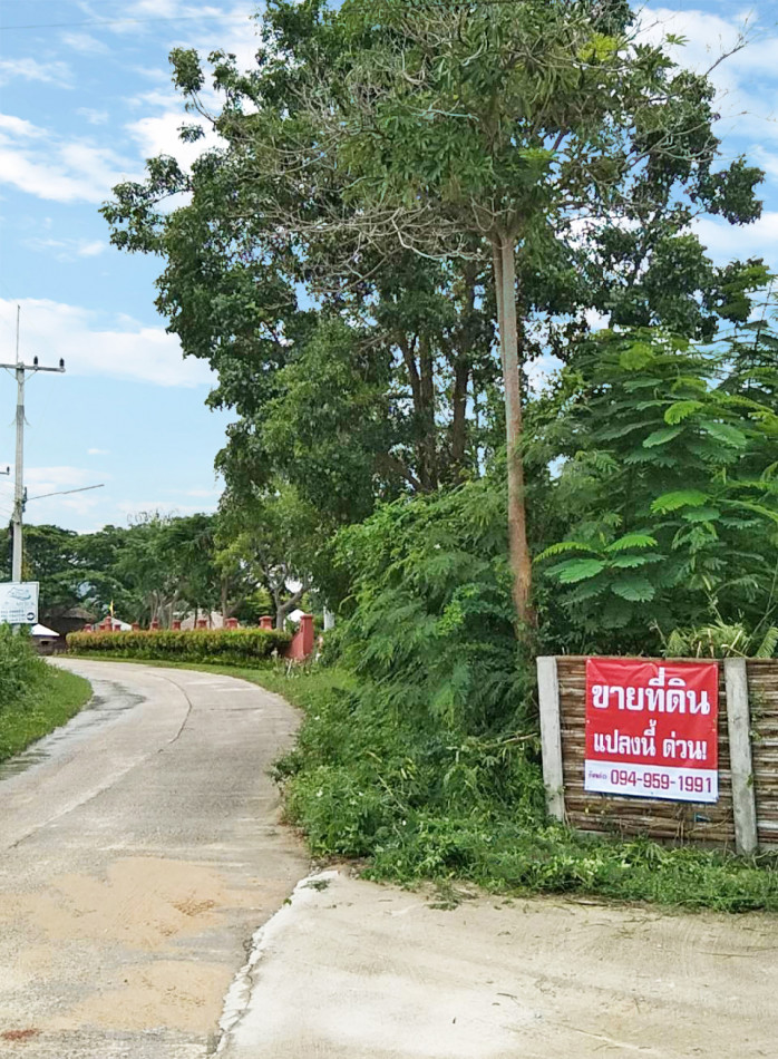 ขาย ที่ดิน ชะอำ ติดถนน - 209 ตร.วา ที่ดินติดรีสอร์ท อ.ชะอำ จ.เพชรบุรี. รูปที่ 5