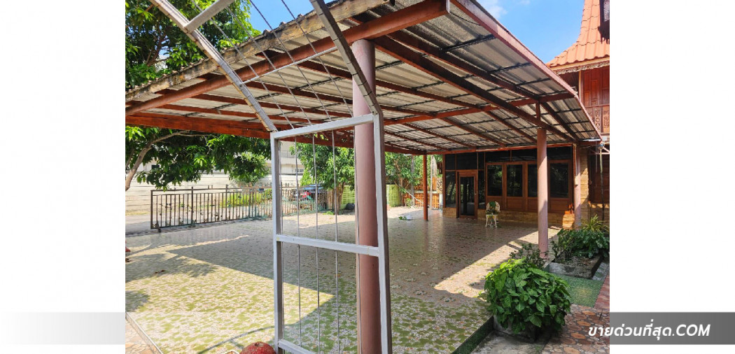 ขายบ้านเรือนไทย 2 ชั้น ใกล้วัดธรรมกาย ซ.คลองสาม 8-15 เนื้อที่ 208 ตร.ว. 2 งาน 8 ตร.วา รูปที่ 5