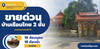 รูปย่อ ขายบ้านเรือนไทย 2 ชั้น ใกล้วัดธรรมกาย ซ.คลองสาม 8-15 เนื้อที่ 208 ตร.ว. 2 งาน 8 ตร.วา รูปที่1