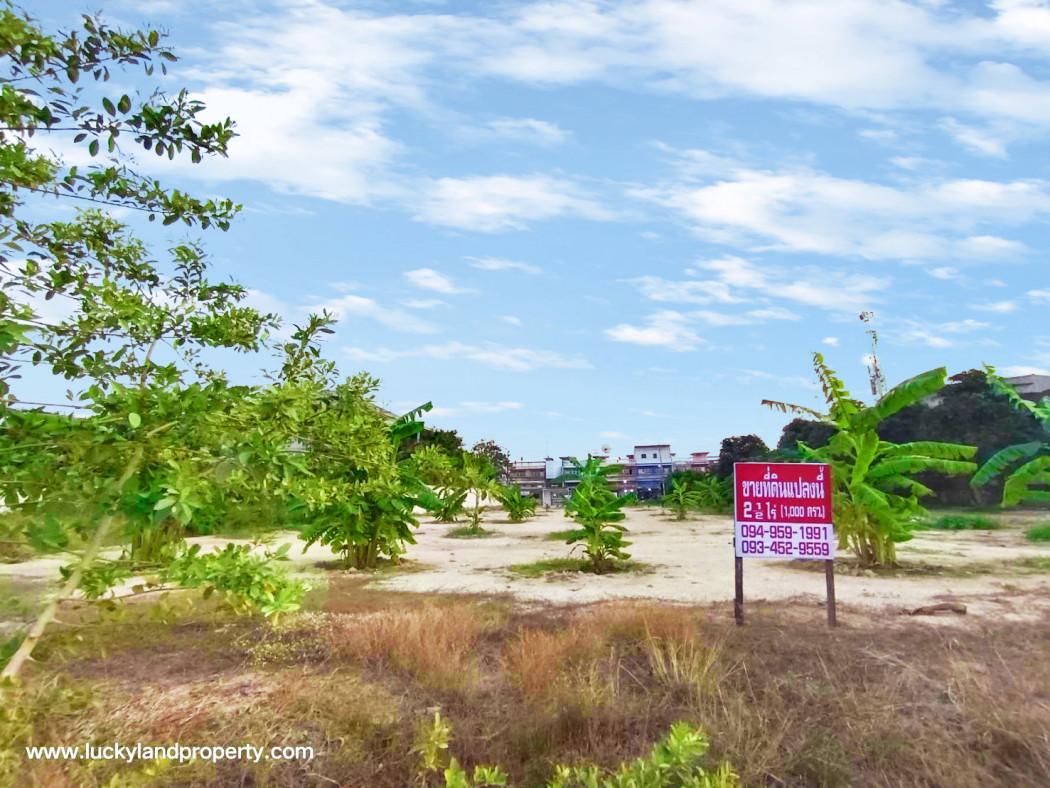 ขาย ที่ดิน ถมแล้ว ทำเลดี เนื้อที่ 2.5 ไร่ ติดถนน2ด้าน ชะอำ เพชรบุรี รูปที่ 4