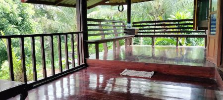 ขาย ที่ดิน บ้านสวนปาล์ม 21 ไร่ 48 ตร.วา ใกล้แม่น้ำแควน้อย ติดถนน บ้านแก่งจอ อ.ไทรโยค กาญจนบุรี รูปที่ 11
