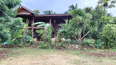 ขาย ที่ดิน บ้านสวนปาล์ม 21 ไร่ 48 ตร.วา ใกล้แม่น้ำแควน้อย ติดถนน บ้านแก่งจอ อ.ไทรโยค กาญจนบุรี รูปที่ 8