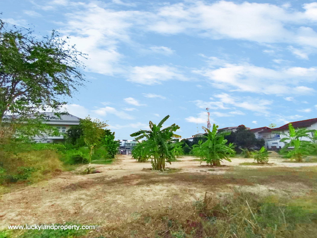 ขาย ที่ดิน ถมแล้ว ทำเลดี เนื้อที่ 2.5 ไร่ ติดถนน2ด้าน ชะอำ เพชรบุรี รูปที่ 6