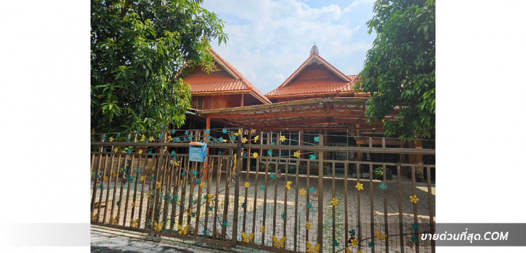 ขายบ้านเรือนไทย 2 ชั้น ใกล้วัดธรรมกาย ซ.คลองสาม 8-15 เนื้อที่ 208 ตร.ว. 2 งาน 8 ตร.วา รูปที่ 4