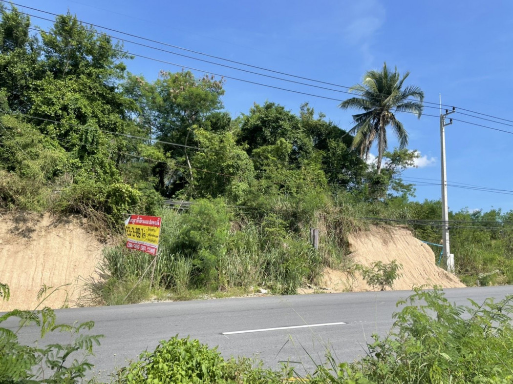 ขาย ที่ดิน ระยอง ผังสีม่วง ติดถนนใหญ่!! - 23 ไร่ 3 งาน 88.3 ตร.วา นิคมพัฒนา ระยอง. รูปที่ 4