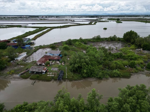 ขายที่ดิน 303 ตร.วา คลองโคน อ.เมือง จ.สมุทรสงคราม   ZW288 รูปที่ 1