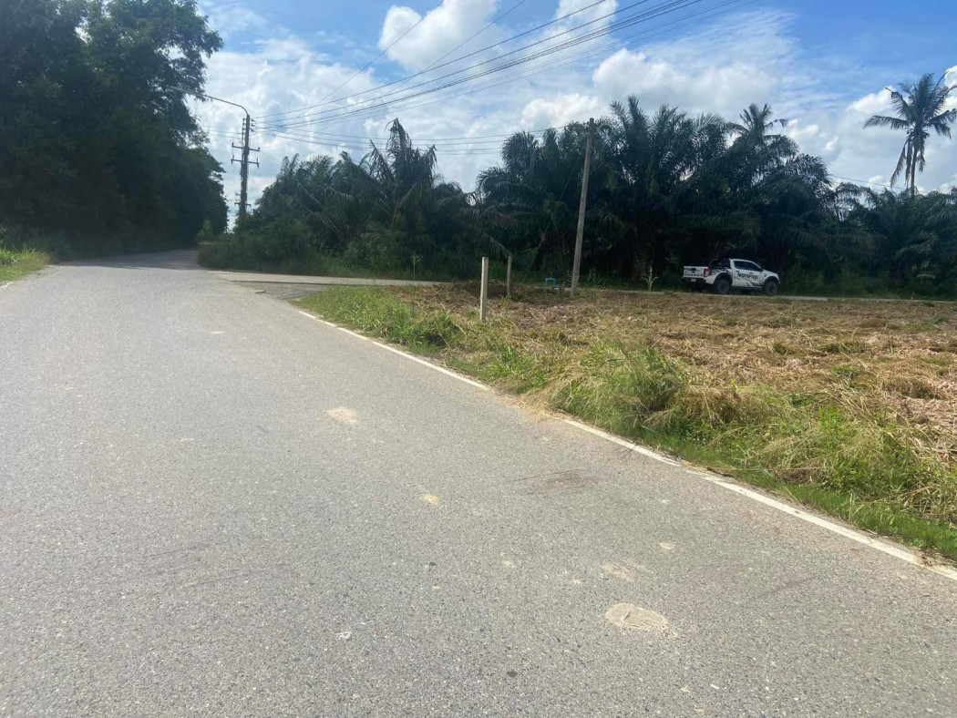 ขายที่ดินหนองอิรุณ 200 ตรว.แปลงหัวมุมติดถ.คอนกรีต 2 ด้าน ซ.วัดหนองชันจันทนาราม ใกล้ถ.เส้น4004-750เมตร อ.บ้านบึง ชลบุรี รูปที่ 8