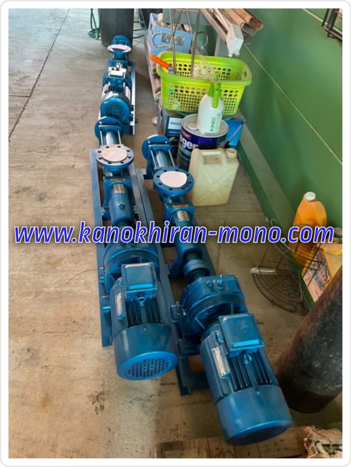 MONO PUMP SCREW KANO PUMP PROGRESSIVE CAVITY  รูปที่ 1