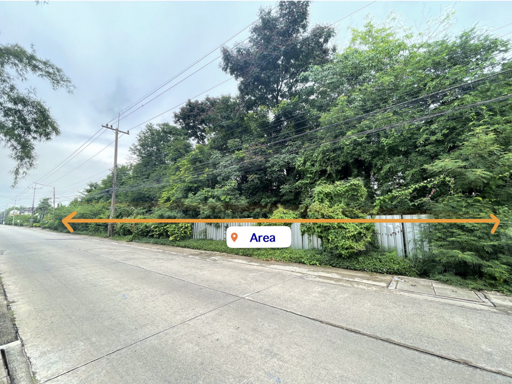 ขาย ที่ดิน ใกล้รถไฟฟ้า คปอ พหลโยธิน 64 คูคต ลำลูกกา 228 ตร.วา บรรยากาศเงียบสงบ รูปที่ 8