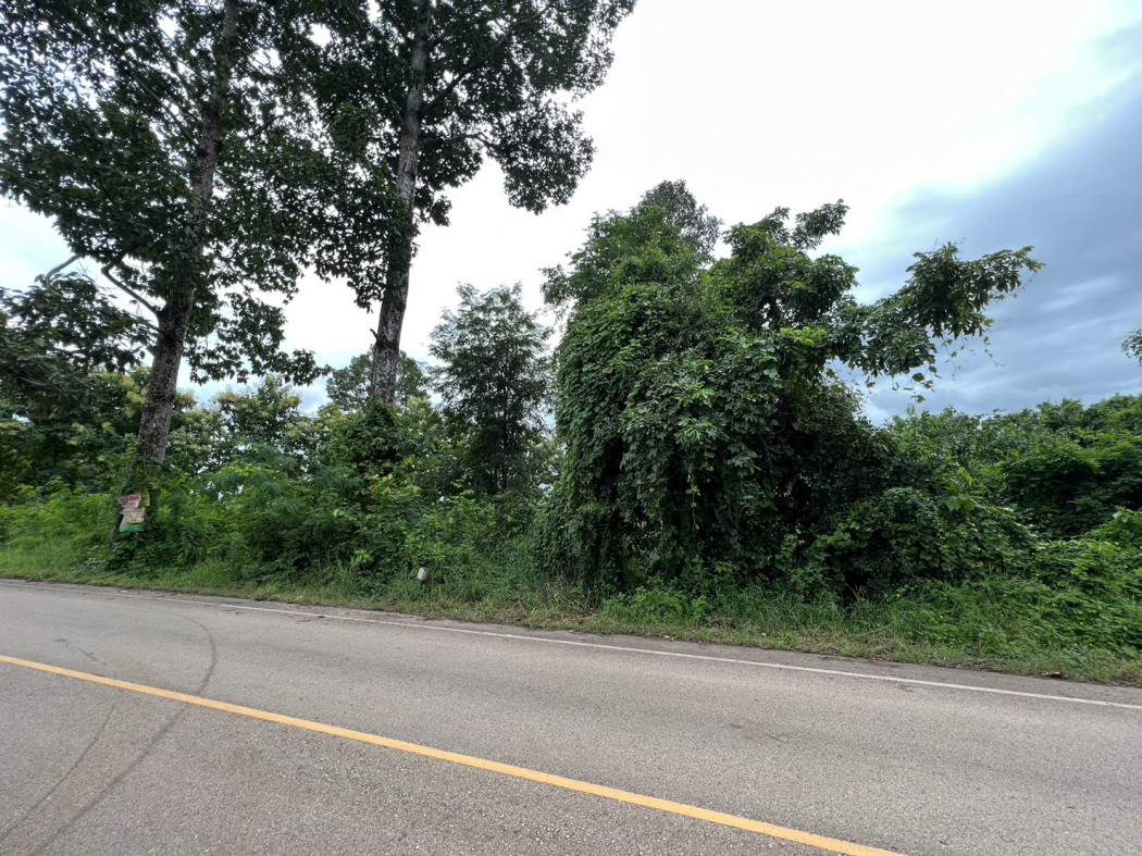 ขาย ที่ดิน ห่างจากตัวเมืองอุดร 5 นาที 4 ไร่ 1 งาน 47.2 ตร.วา รูปที่ 3