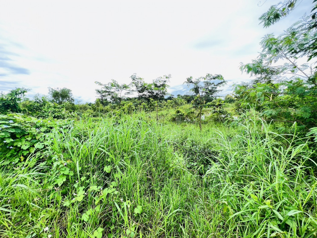 ขาย ที่ดิน ห่างจากตัวเมืองอุดร 5 นาที 4 ไร่ 1 งาน 47.2 ตร.วา รูปที่ 2