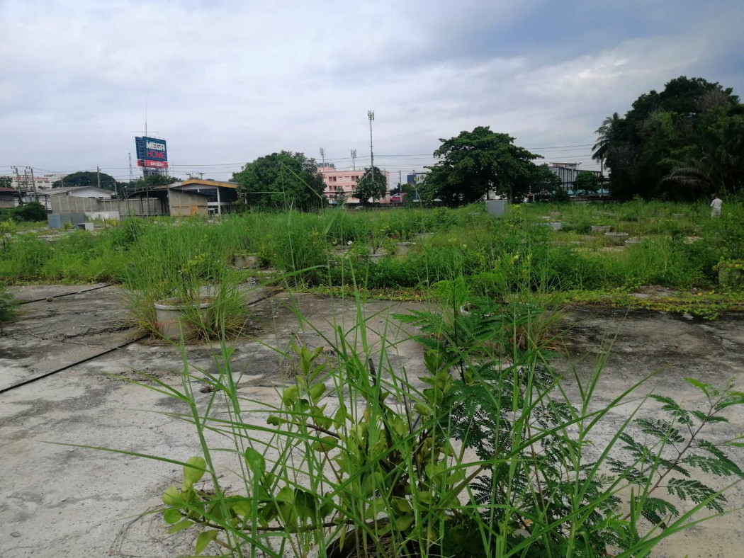 ขาย ที่ดิน พร้อมสิ่งปลูกสร้าง 11 ไร่ 3 งาน 97 ตร.วา รูปที่ 4