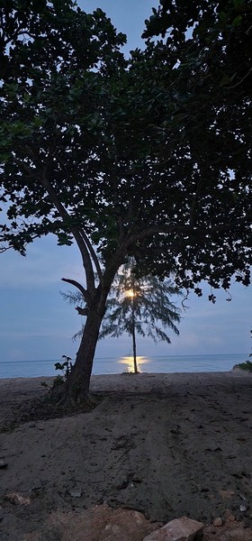 ขายที่ดินติดชายหาดพร้อมหาดทรายสวยๆ บ้านหนองบัว อ.ละเเม จ.ชุมพร  361 ตรว. ถูกสวยทำเลดี รูปที่ 1