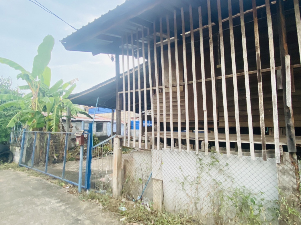 ขาย บ้านเดี่ยว บ้านไม้ชั้นเดียว 65 ตรม. 39.7 ตร.วา รูปที่ 4