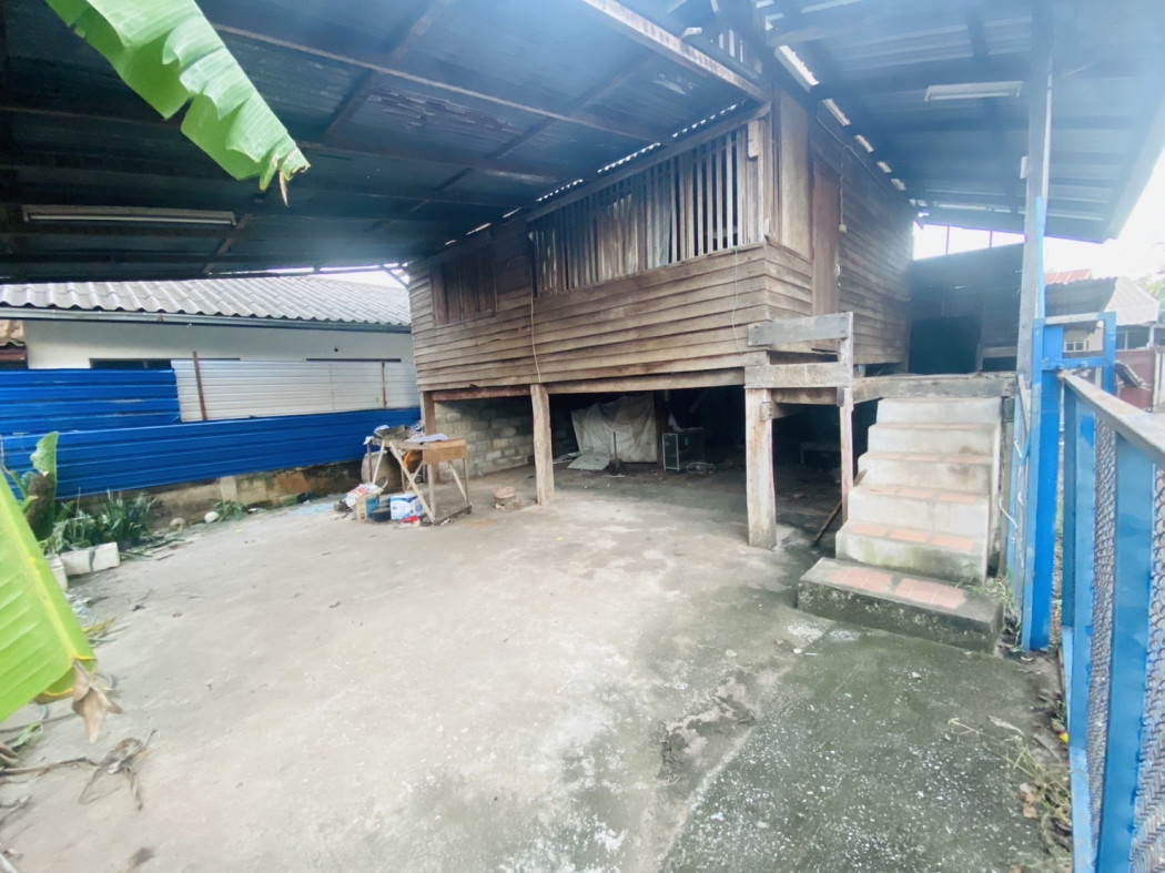 ขาย บ้านเดี่ยว บ้านไม้ชั้นเดียว 65 ตรม. 39.7 ตร.วา รูปที่ 3