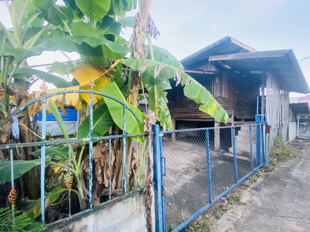 ขาย บ้านเดี่ยว บ้านไม้ชั้นเดียว 65 ตรม. 39.7 ตร.วา รูปที่ 5