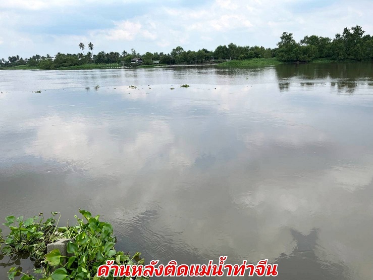 ขายที่ดินริมแม่น้ำนครชัยศรี 9-0-25 ไร่ ที่ดินสวย 48 ล้านบาท รูปที่ 5
