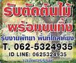 รับตัดต้นไม้ ในเขตเมืองพัทยา อ.บางละมุง พื้นที่ใกล้เคียง รับตัดต้นไม้ รับตัดกิ่งไม้ รับตัดหญ้า รับกำจัดวัชพืช รับฉีดยาฆ่าหญ้า ในราคาย่อมเยาว์ พร้อมเคลียร์พื้นที่ ขนทิ้ง โทร 062-5324935 Line ID. 0625324935