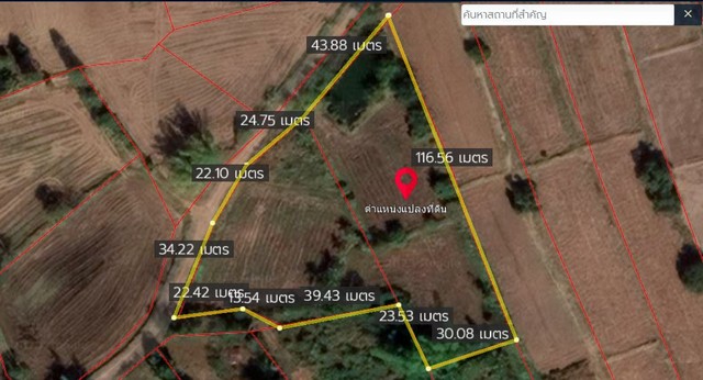 ขายที่ดินทุ่งนา 4ไร่ 1.6ล้านบาท ถนนดิน ไฟฟ้าประปา 1 กม. ต.บุ่งคล้า อ.เมือง ชัยภูมิ รูปที่ 1