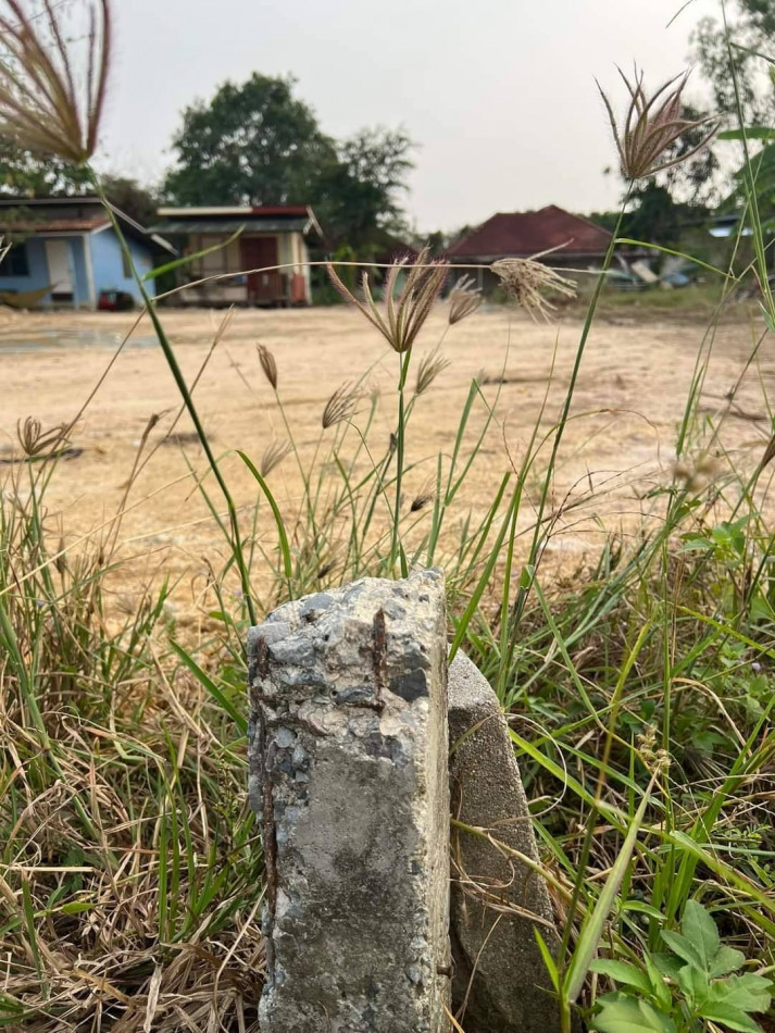 ขายที่ดินสำนักท้อน 245 ตรว. ซอยเทศบาล 45 ใกล้สนามบินอู่ตะเภา - 3 กม. ใกล้ถ.332 - 800 เมตร อ.บ้านฉาง ระยอง รูปที่ 4
