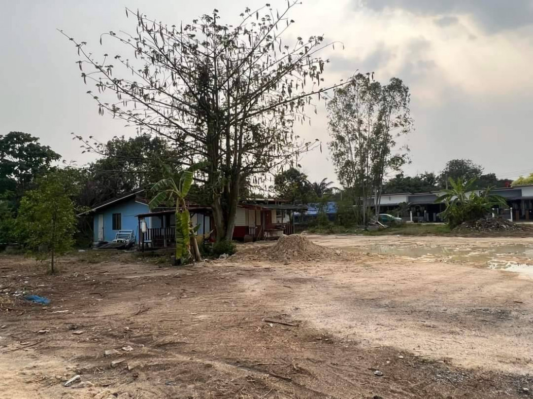 ขายที่ดินสำนักท้อน 245 ตรว. ซอยเทศบาล 45 ใกล้สนามบินอู่ตะเภา - 3 กม. ใกล้ถ.332 - 800 เมตร อ.บ้านฉาง ระยอง รูปที่ 2