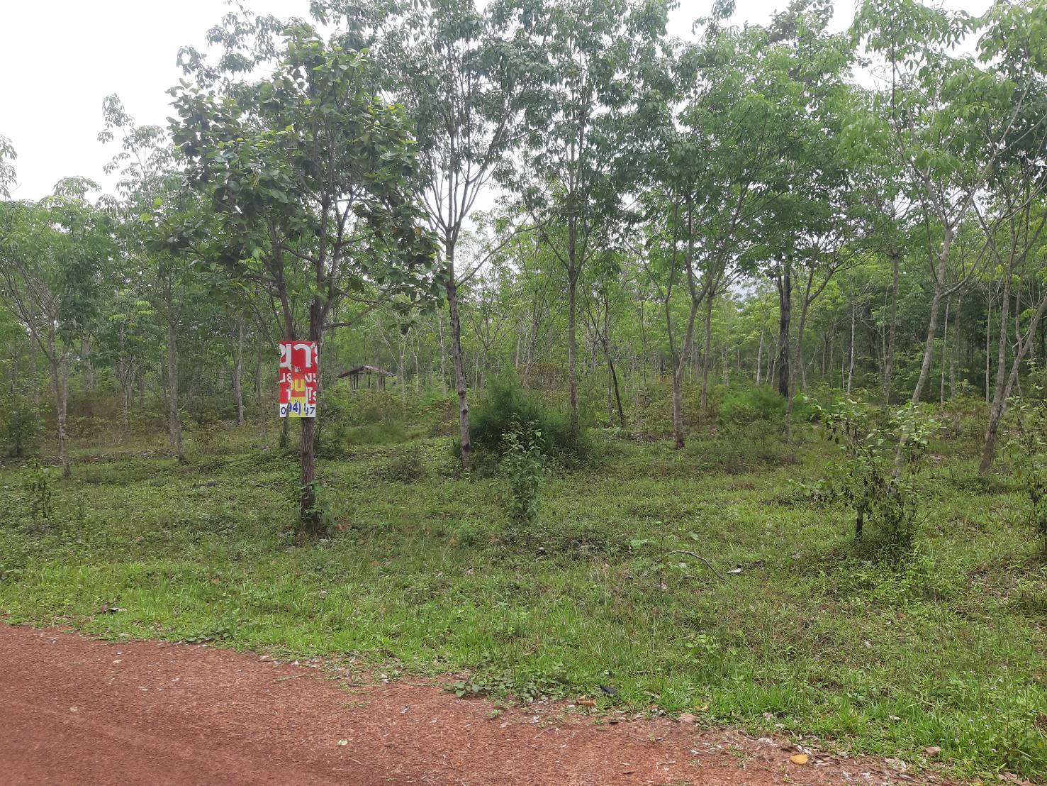 ขายที่ดิน 18 ไร่ ราคาสามารถคุยกันได้  ตำบลคำเตย อำเภอเมืองนครพนม จังหวัดนครพนม รูปที่ 3